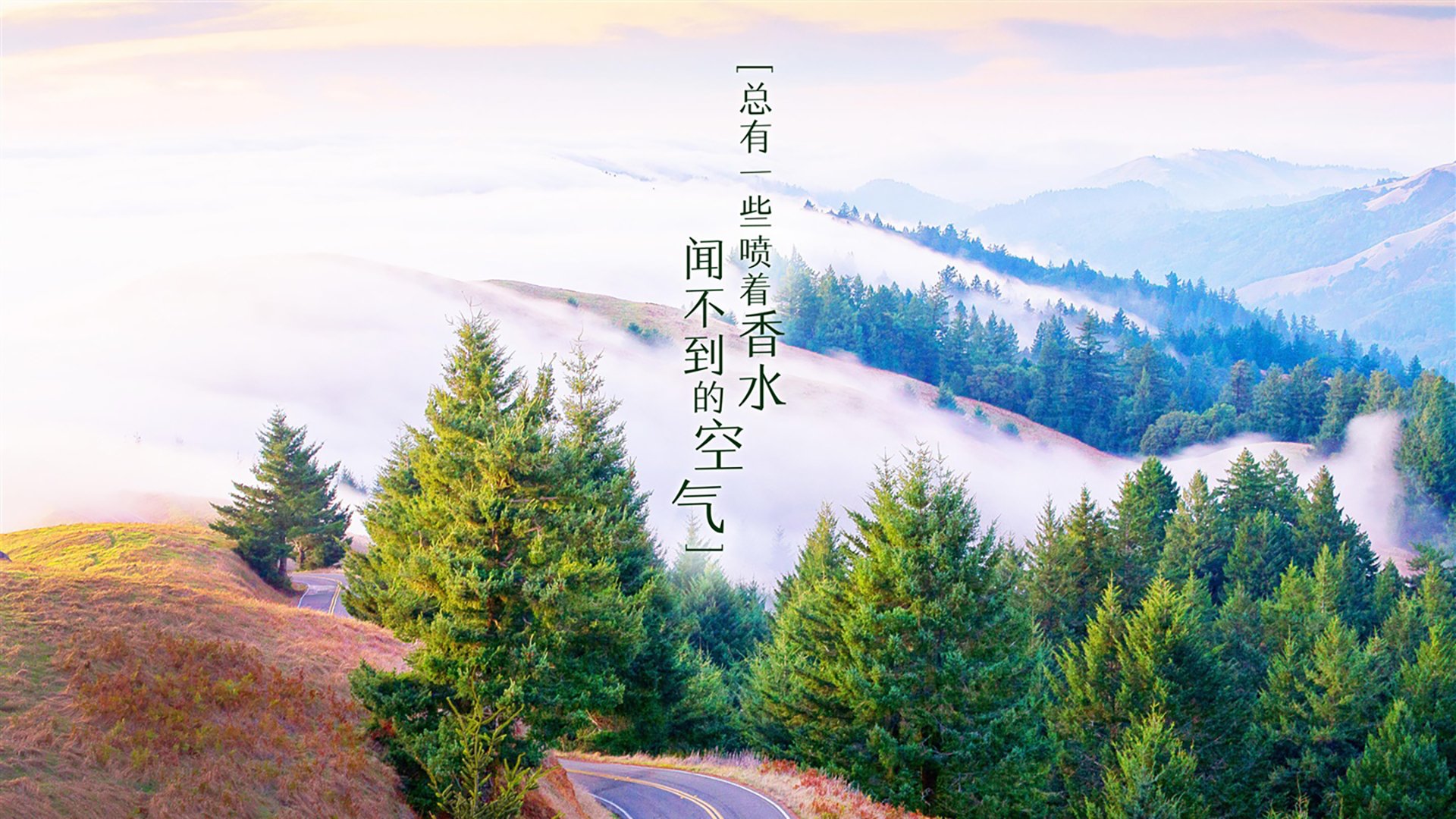 开云网页版-阿尔阿赫利防守强度持续提升，阿尔阿赫利利马